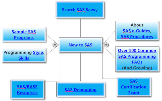 New to SAS Programming