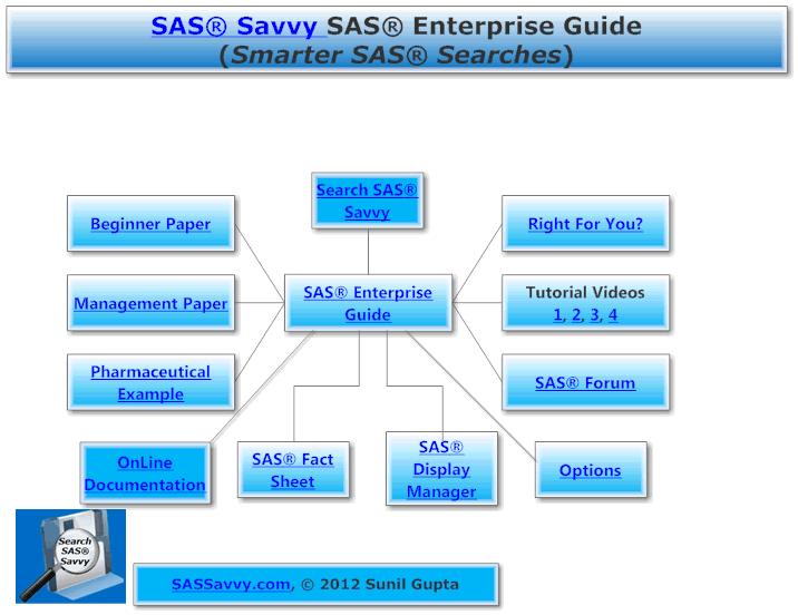 SAS_Enterprise_Guide_img.gif